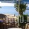 Hercules Sea Front Studios_travel_packages_in_Ionian Islands_Kefalonia_Katelios