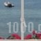 Hotel Irene_lowest prices_in_Hotel_Cyclades Islands_Paros_Paros Chora