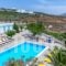 Zorbas Hotel Santorini_best prices_in_Hotel_Cyclades Islands_Sandorini_Sandorini Chora