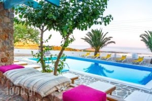 Zorbas Hotel Santorini_best deals_Hotel_Cyclades Islands_Sandorini_Sandorini Chora