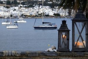 Parian Village_holidays_in_Hotel_Cyclades Islands_Paros_Paros Chora