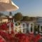 Studios Irene_lowest prices_in_Hotel_Cyclades Islands_Paros_Paros Chora