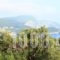 Ulisse Apartments_best prices_in_Apartment_Ionian Islands_Corfu_Palaeokastritsa