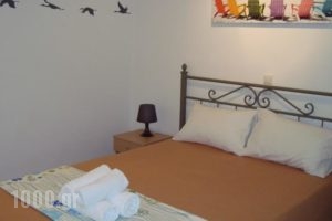 Morpheas Pension Rooms & Apartments_travel_packages_in_Cyclades Islands_Sifnos_Kamares