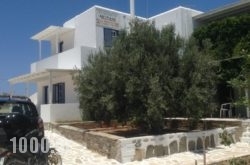 Adriana Studios in Antiparos Chora, Antiparos, Cyclades Islands