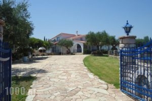 Tassos Apartments_holidays_in_Apartment_Thessaly_Magnesia_Koropi