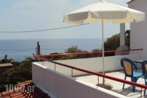 Irini Studios_best deals_Hotel_Aegean Islands_Lesvos_Plomari