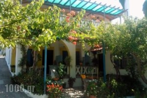 Alexandra Sofia_holidays_in_Hotel_Sporades Islands_Skopelos_Skopelos Chora