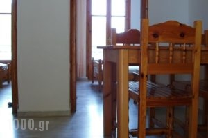 Studio Rolous_lowest prices_in_Hotel_Ionian Islands_Lefkada_Lefkada Rest Areas