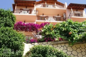 Studio Rolous_accommodation_in_Hotel_Ionian Islands_Lefkada_Lefkada Rest Areas