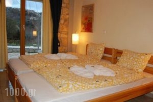 Elisson Hostel_best prices_in_Hotel_Peloponesse_Korinthia_Kryoneri