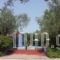 Liokambi Village Bungalows_best deals_Hotel_Aegean Islands_Lesvos_Mythimna (Molyvos)