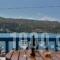 Galaxy Hotel_best deals_Hotel_Cyclades Islands_Andros_Gavrio