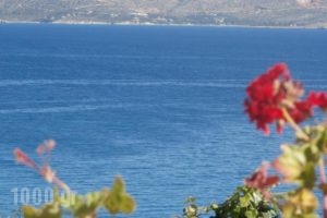 Manos Apartments_best deals_Apartment_Crete_Chania_Almyrida