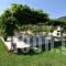 House Elena_best deals_Hotel_Aegean Islands_Thasos_Thasos Chora