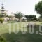 Sunset Studios_best deals_Hotel_Central Greece_Evia_Nea Stira