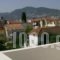 Vazakas Rooms_lowest prices_in_Room_Aegean Islands_Lesvos_Mytilene