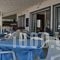 Vatera Beach Hotel_best prices_in_Hotel_Aegean Islands_Lesvos_Polihnitos