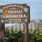Tampakeika_best deals_Hotel_Thessaly_Magnesia_Mouresi
