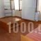 Lilys Apartments_best deals_Apartment_Crete_Rethymnon_Rethymnon City