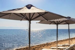 Ostria Sea Side Hotel_holidays_in_Hotel_Macedonia_Halkidiki_Kassandreia