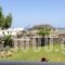 'Lindian Myth' Sea View Studios_best deals_Hotel_Dodekanessos Islands_Rhodes_Lindos