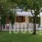 Giannis Studios_best deals_Hotel_Ionian Islands_Lefkada_Vasiliki