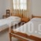 Giannis Studios_best prices_in_Hotel_Ionian Islands_Lefkada_Vasiliki