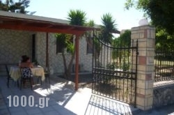 Pettas Apartments in Chrisavgi , Thesprotia, Epirus