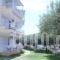 Studios Kaintas_best deals_Hotel_Macedonia_Halkidiki_Kassandreia