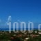 Lefkothea Apartments_best deals_Apartment_Ionian Islands_Lefkada_Vasiliki