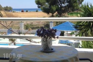 Studios Angela_accommodation_in_Hotel_Aegean Islands_Samos_Pythagorio