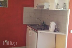 Studios Angela_best prices_in_Hotel_Aegean Islands_Samos_Pythagorio