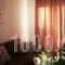 Irini Apartments Anaxos_best deals_Apartment_Aegean Islands_Lesvos_Petra