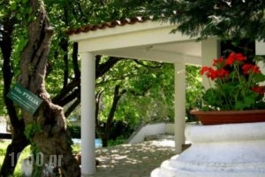 Ftelia_best deals_Hotel_Sporades Islands_Skiathos_Skiathos Chora