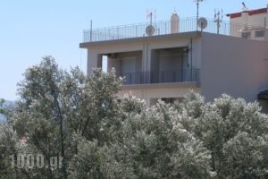 Ankypy Studios_lowest prices_in_Hotel_Central Greece_Evia_Kymi