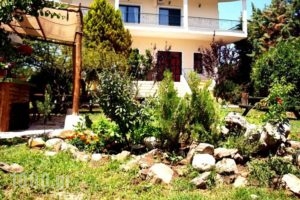 The White Rabbit_accommodation_in_Hotel_Macedonia_Halkidiki_Kassandreia