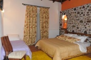Pasithei_accommodation_in_Hotel_Central Greece_Evritania_Voutyro