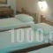 Paradise Hotel_best deals_Hotel_Dodekanessos Islands_Kos_Kos Chora