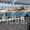 Zorbas Hotel & Studios_holidays_in_Hotel_Aegean Islands_Samos_Pythagorio