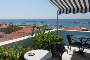 Zorbas Hotel & Studios_accommodation_in_Hotel_Aegean Islands_Samos_Pythagorio