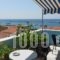Zorbas Hotel & Studios_accommodation_in_Hotel_Aegean Islands_Samos_Pythagorio