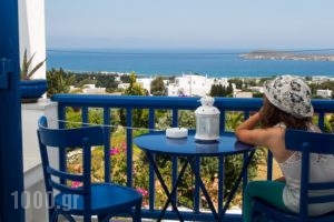 Aloe_holidays_in_Hotel_Cyclades Islands_Paros_Paros Chora