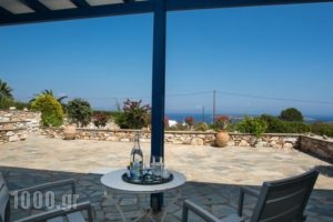 Aloe_best deals_Hotel_Cyclades Islands_Paros_Paros Chora