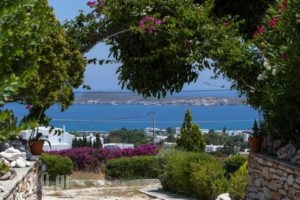 Aloe_best prices_in_Hotel_Cyclades Islands_Paros_Paros Chora