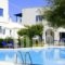 Ikaros Studios & Apartments_best deals_Apartment_Cyclades Islands_Naxos_Naxos chora