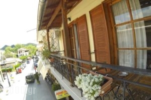 Anesi Rooms To Rent_best prices_in_Room_Peloponesse_Ilia_Olympia