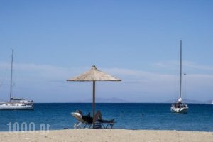 Manis Inn_holidays_in_Hotel_Cyclades Islands_Paros_Paros Chora