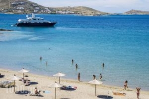 Manis Inn_travel_packages_in_Cyclades Islands_Paros_Paros Chora