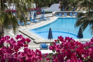 Manis Inn_best prices_in_Hotel_Cyclades Islands_Paros_Paros Chora